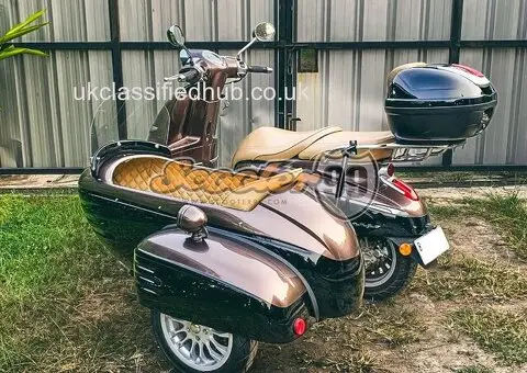Sidecar Kit for Peugeot Django Edition by Scooter99 - 3/3