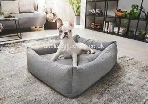 Laboni Orthopaedic Dog Bed – Premium Comfort for Your Dog - 1/3