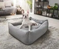 Laboni Orthopaedic Dog Bed – Premium Comfort for Your Dog