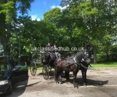 Lamberts Funeral Services | Funeral Directors in Wragby