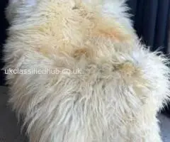 Soft Melerade Sheepskins, High Quality