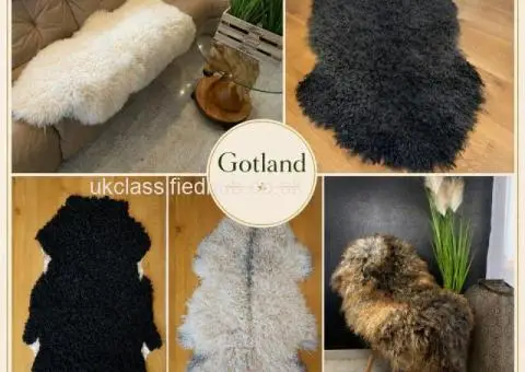 Premium curly Gotland Sheepskins - 1/4