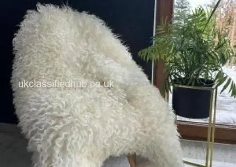 Premium curly Gotland Sheepskins - 3/4