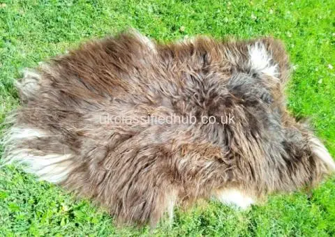 Heidschnucke Premium Sheepskins - 2/4