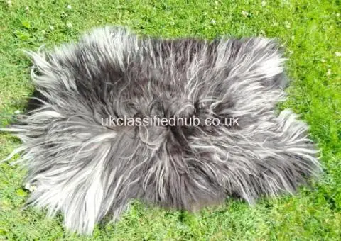 Heidschnucke Premium Sheepskins - 4/4