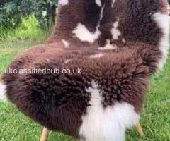 Premium Dutch Sheepskins