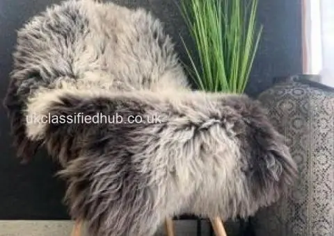 Premium Dutch Sheepskins - 2/4