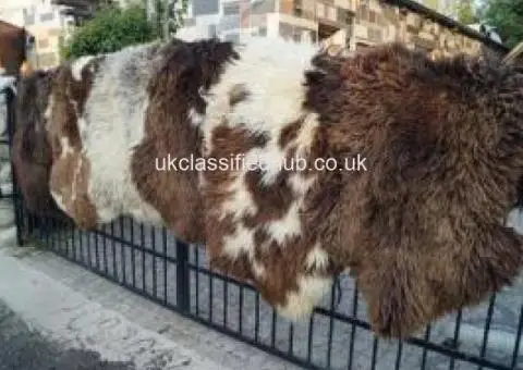 Premium Dutch Sheepskins - 3/4