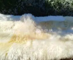 Large Patchwork sheepskin rugs, 2m, High Quality