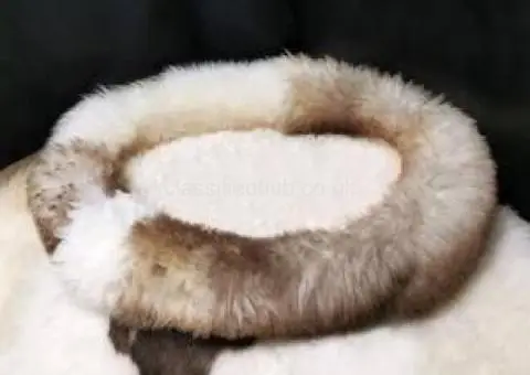 Perfect XXL sheepskin dogs beds, Premium - 3/4
