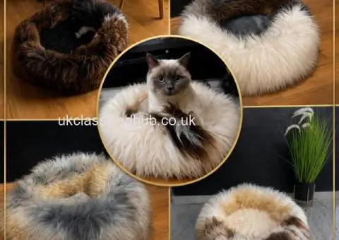 Exclusive Sheepskin Cat beds 50cm,70cm, Premium - 1/4