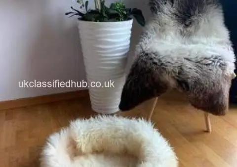 Exclusive Sheepskin Cat beds 50cm,70cm, Premium - 2/4