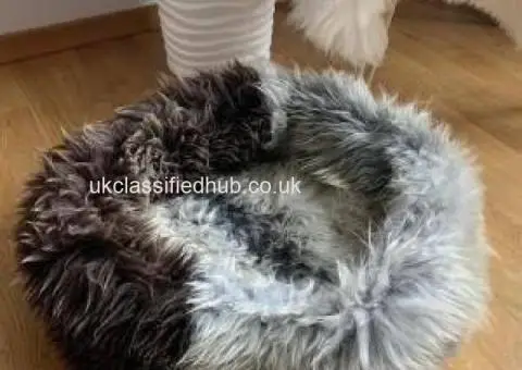 Exclusive Sheepskin Cat beds 50cm,70cm, Premium - 4/4