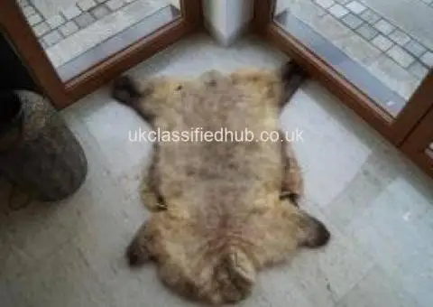 MELIERT Collection, natural sheepskins - 1/4