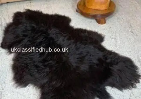 Polish sheepskins, highest quality - 1/4