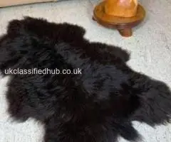 Polish sheepskins, highest quality