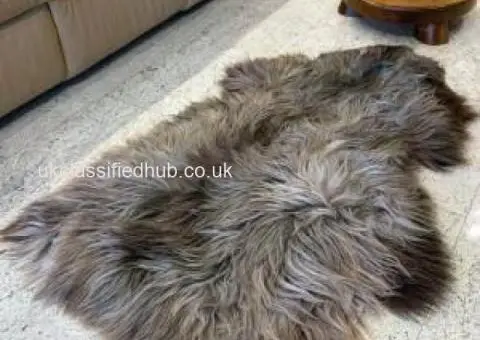 Polish sheepskins, highest quality - 3/4