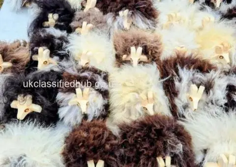 Decorative Lambs – Natural Sheepskin Collection - 1/4