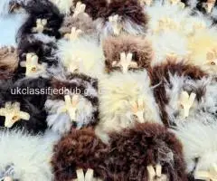 Decorative Lambs – Natural Sheepskin Collection