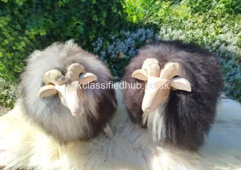 Decorative Lambs – Natural Sheepskin Collection - 3/4