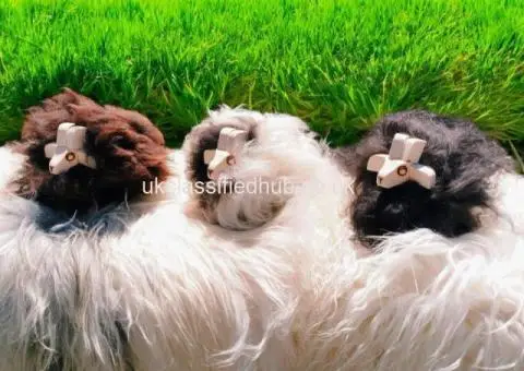 Decorative Lambs – Natural Sheepskin Collection - 4/4