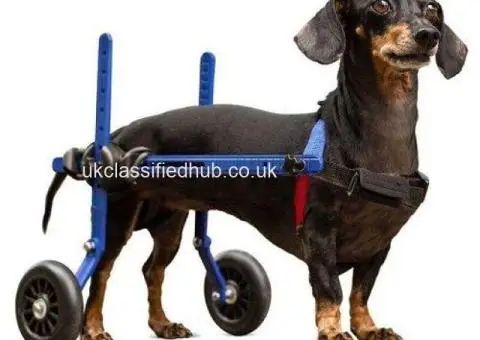 Premium Dog Wheelchairs UK