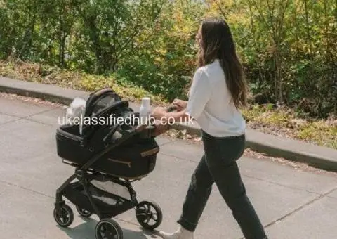 Animal Stroller