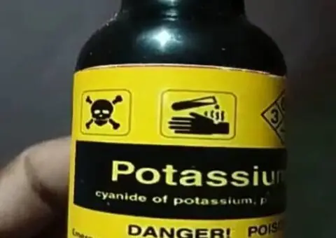 Cyanide,nembutal for a quick,peaceful and painless death(Euthanasia) and for lab use