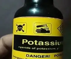 Cyanide,nembutal for a quick,peaceful and painless death(Euthanasia) and for lab use