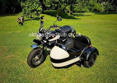 Sidecar Kit for Honda Monkey 125 by Scooter99 Ready to Ride - 1/3