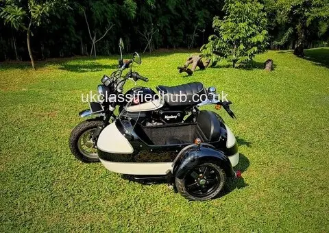Sidecar Kit for Honda Monkey 125 by Scooter99 Ready to Ride - 2/3