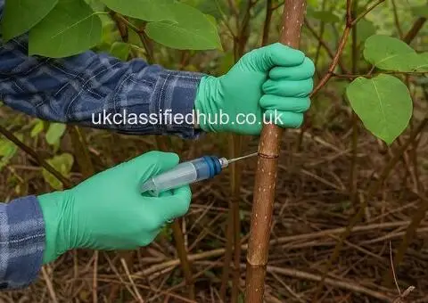 Japanese Knotweed Removal by Qualified Specialists