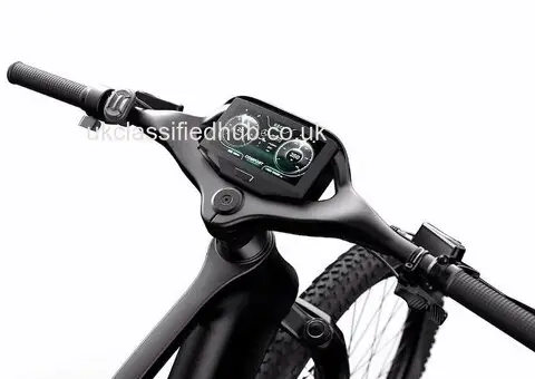 Mercedes-AMG PETRONAS F1® Team Rallye Edition 750 Electric Bike : $3,500 - 4/4