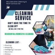 Wla exec Cleaning